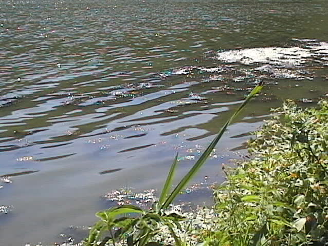 Water ripples on peaceful lake