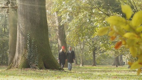 adult couple in love  enjoying a walk holding hands at the park on a autumn day slow motion

