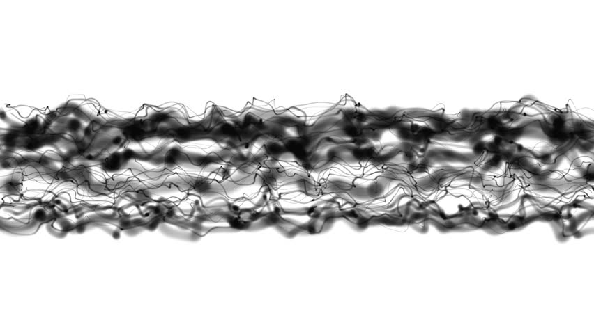 fluid blac and wite 4k