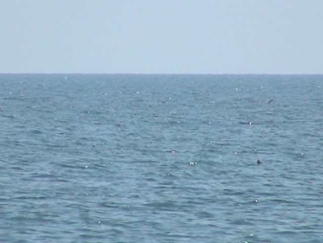 BACKGROUND: ocean horizon. Seascape.