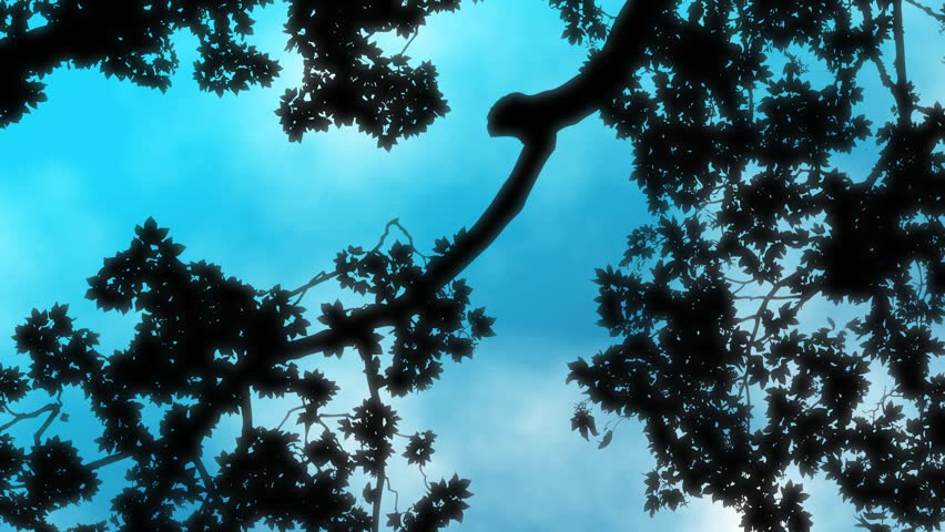 Sky and Slow Clouds Loop High definition animated background loop of white