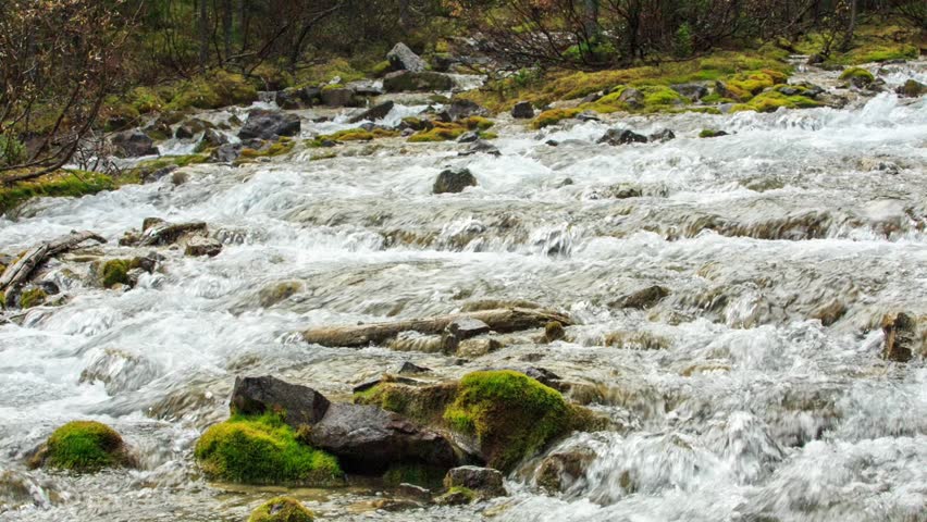 The creek flowing into Moraine Lake, Canada