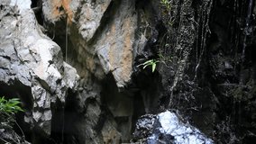 Close up view of stream waterfall and plants. Video shift motion with change blurred background. HD. 1920x1080