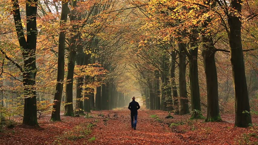 Man Walking in an Autumn Stock Footage Video (100% Royalty-free