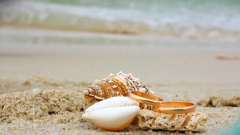 seashell clipart wedding ring