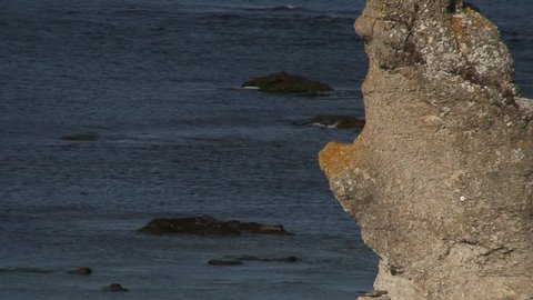 Eroded limestone stacks with ocean in the background on the island Faro outside Gotland in the Baltic sea in Sweden