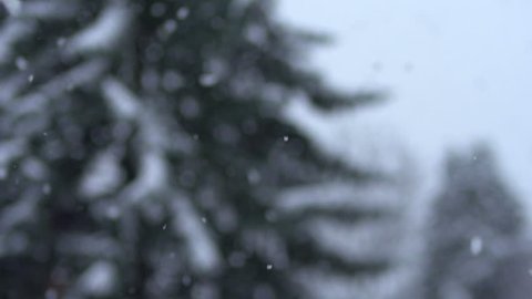Snowflakes falling in slow motion Stock Video
