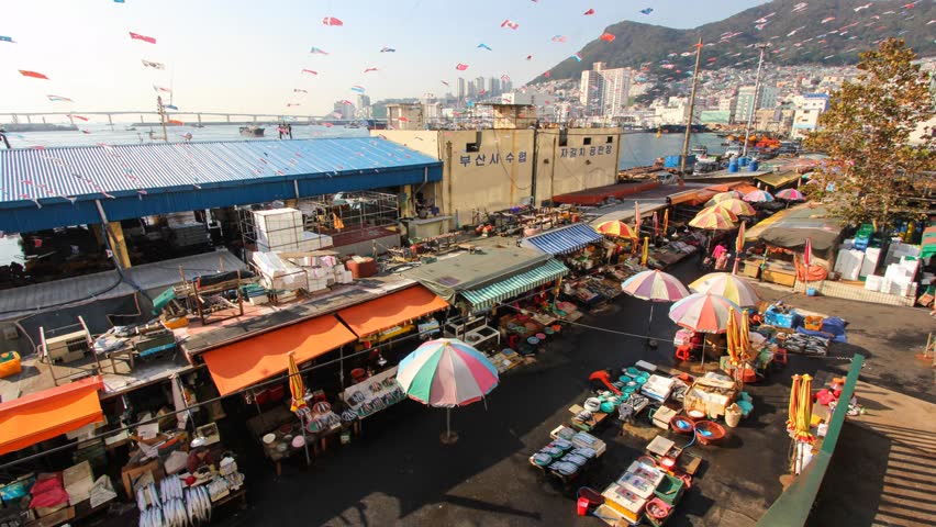 Jagalchi Fish Market in Busan Timelapse