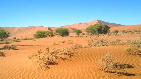 Sand Dunes Across Hot Australian Desert Stock Vector (Royalty Free ...