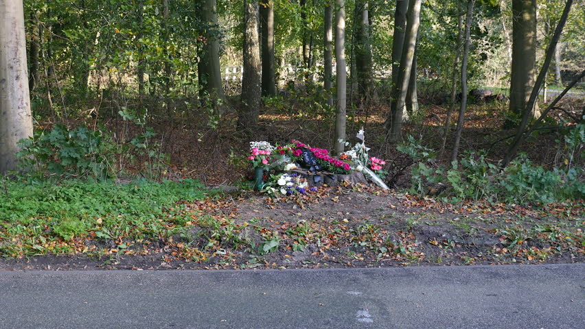 A flower memorial in a wooded area after a recent accident by the road. A car drives by.