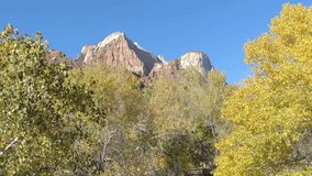Panning Shot of Fall colors in the trees and mountain peaks in the background at Zion National Park, Utah, USA, with natural sound.