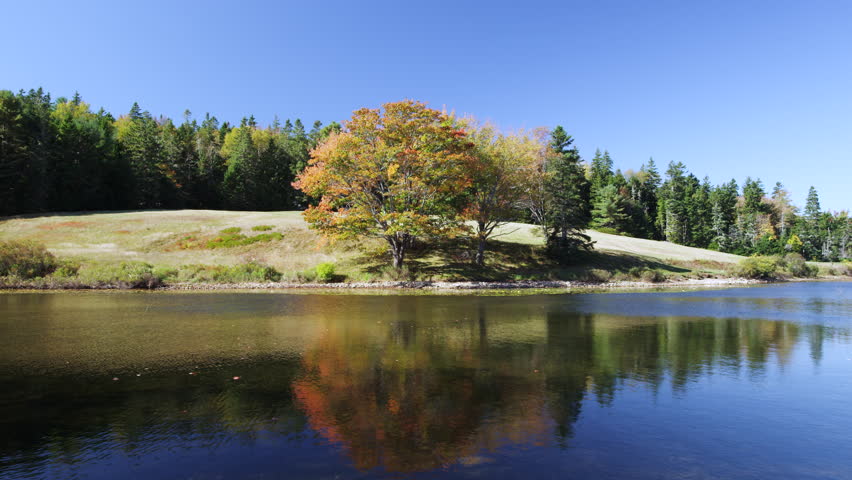 Colorful tree on shore of lake with fall foliage in Maine
