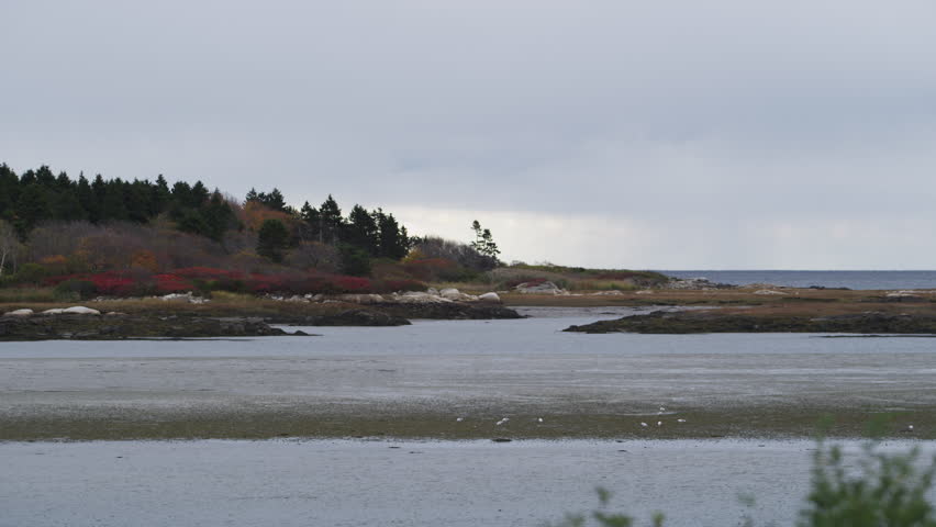 Low tide on the coast of Maine with breeze in autumn.