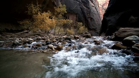 The Viring River flowing through the Narrows in Zion National Park in Fall.