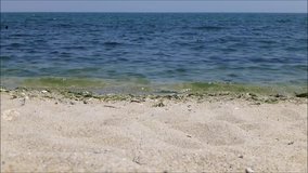 Video footage of the horizon and sea waves rolling onto a sandy beach