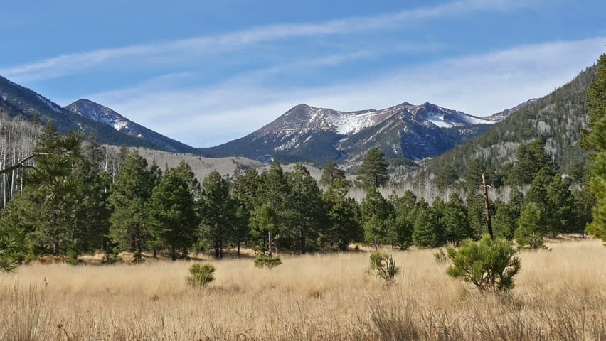 Scenic view of Humphrey