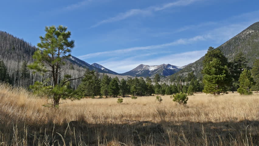 Scenic view of Humphrey