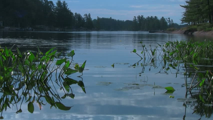 shoreline on lake nippising ontario canada