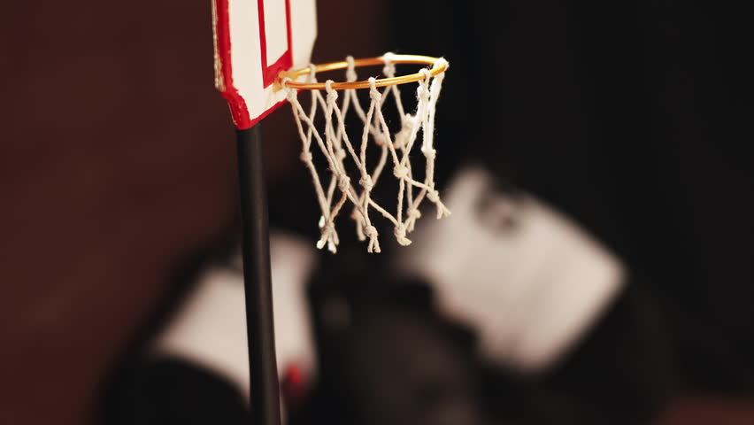 Miniature Basketball going into a Miniature Hoop