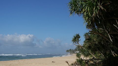White sandy beach around Galle, Sri Lanka