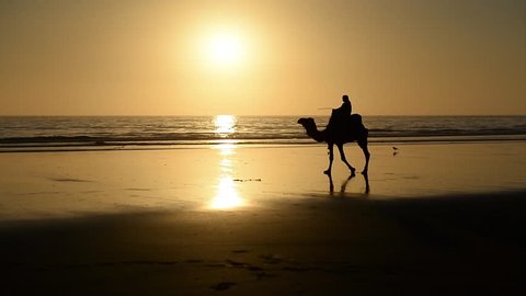 A berber riding a camel across the bridge made by the setting sun in the surface of a wet sand beach in Agadir, Morocco.