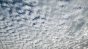Slowly moving altocumulus clouds time lapse.