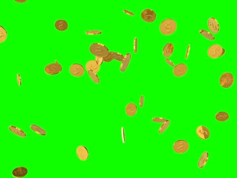 falling gold coins.seamless loop ready and green screen isolated