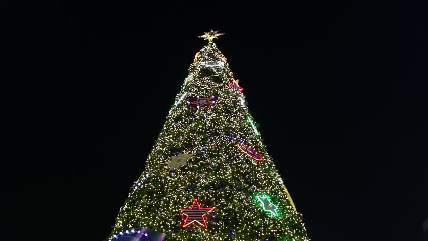 large christmas tree lights