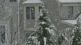 Large Snowflakes Falling During Winter in Slow Motion