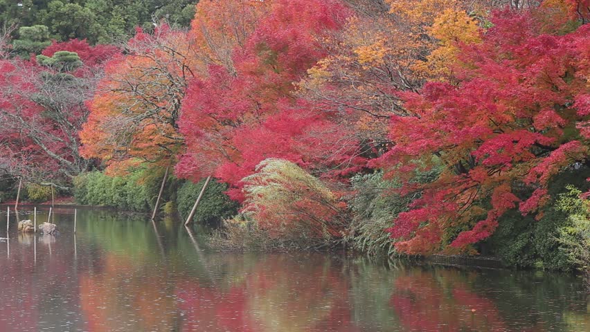 Kyoyochi Pond at Ryoanji temple, Kyoto, Japan