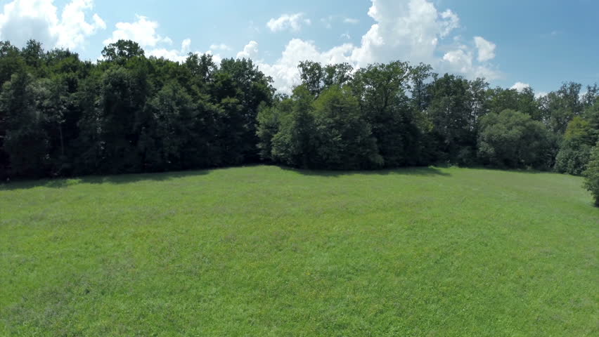 Green Grass Field In Countryside Arkivvideomateriale 100 Royaltyfritt Shutterstock