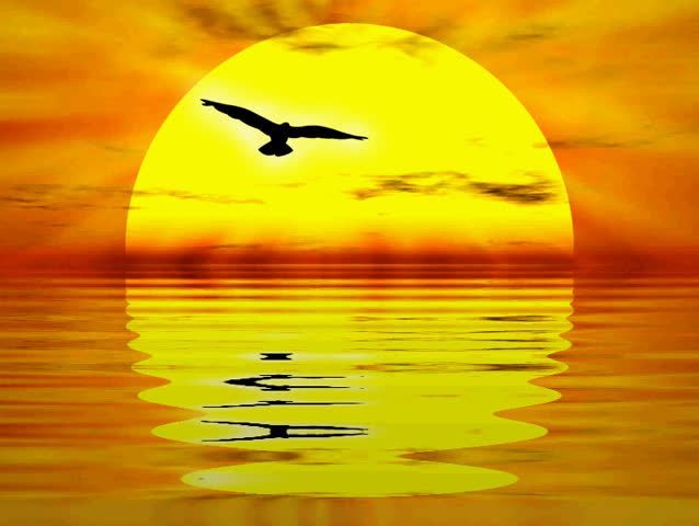 Sunset landscape with ocean movement