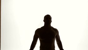 Boxer winner silhouette on white background.