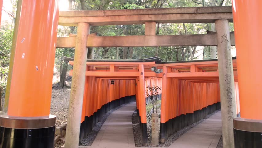 Kyoto, Japan at Fushimi Inari Shrine's fame torii gates. Royalty-Free Stock Footage #8079385