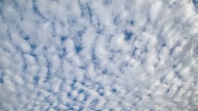 Fast moving altocumulus clouds time lapse.