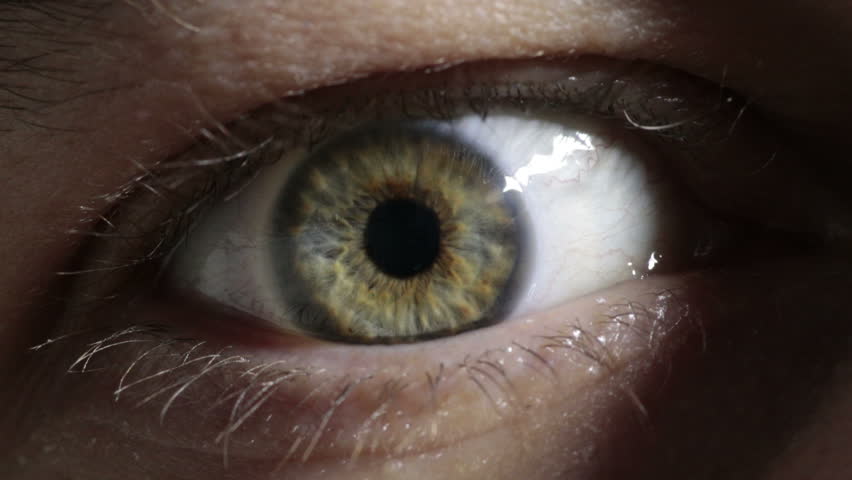 Mysterious blue green hazel human eye close up macro