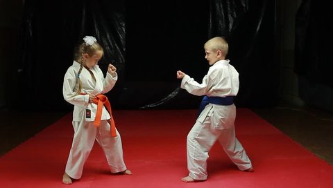 Karate - Boy and girl throw each other through the thigh