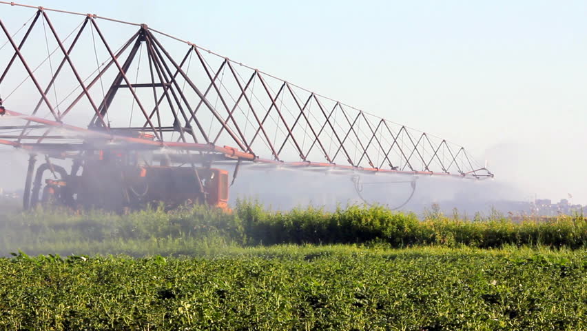 irrigation of a potato field