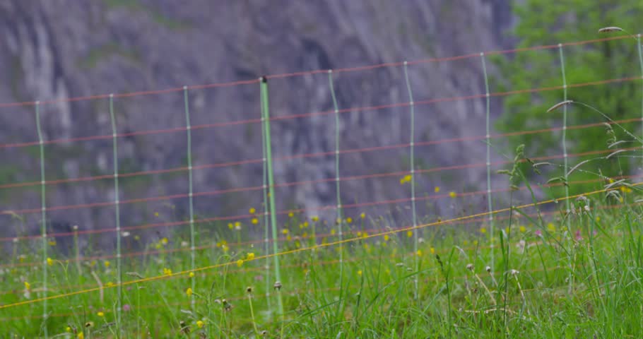 Focus pull, with grass in the foreground, a fence, and mountains in the background.