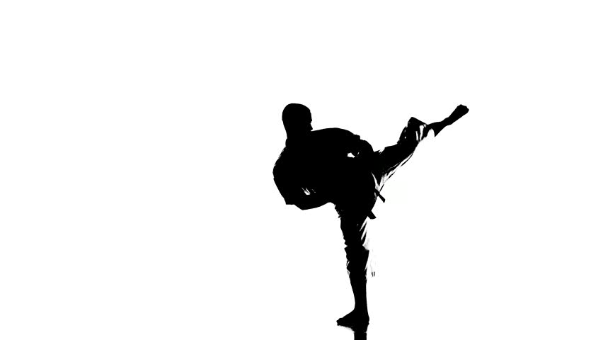 A Silhouette of a Karate Stock Footage Video (100% Royalty-free