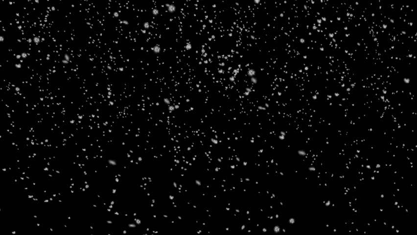 gently falling snow isolated on black Stock Footage Video (100 Royalty