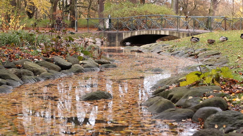 LAke Pond  ducks small bridge ,nobody
