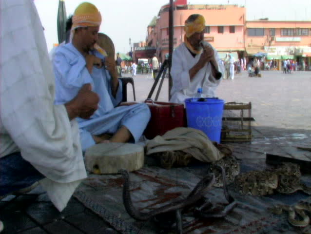 Snake charmers in marrakech, morocco