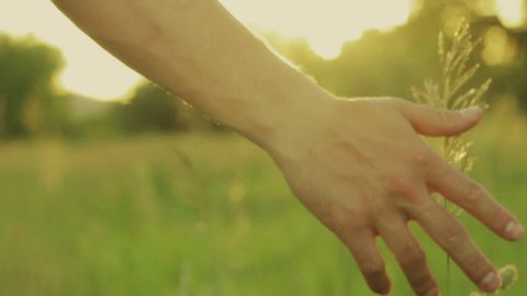 Young Man Walks Through Tall Grass In Slow Motion (Close Up Of His Hand Feeling Grass)
