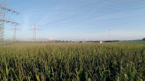 aerial video footage of a harvested corn-field (mais-field) in germany for a biogas plant
