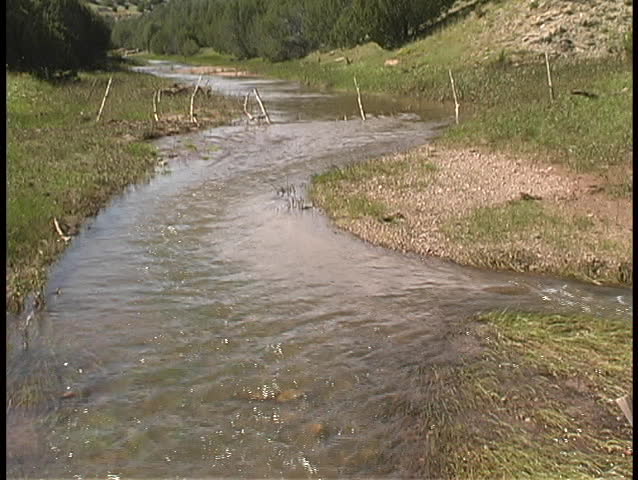 A stream flows steadily through an open meadow