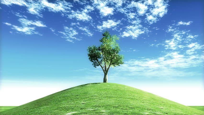 tree on hillside as clouds flow past with matte for easy compositing into your own scenes