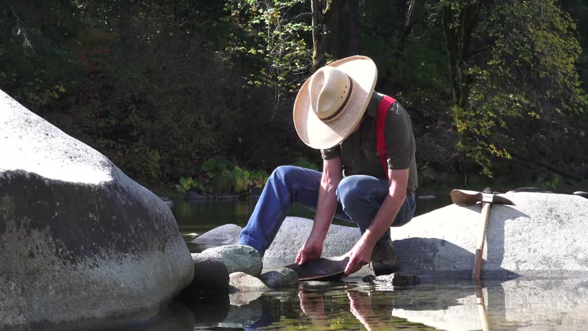 Gold miner, prospector looking for gold using a pan in the Yuba River of the Sierra Nevada. Man perched on a large river boulder in the stream.