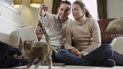Young couple at home relaxing with their pet kittens. Two cats playing around man and woman.