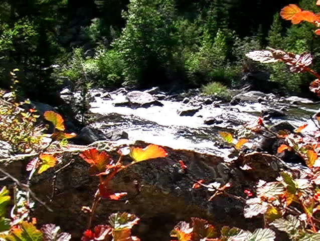 Quickly flowing river in the Montana wilderness.